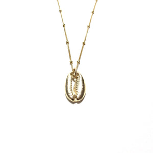 gold cowrie shell on satellite chain