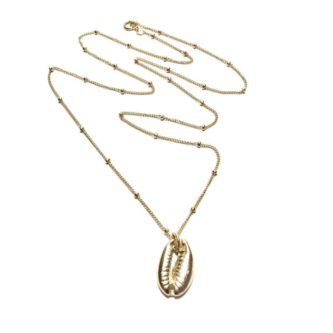 gold cowrie shell on satellite chain