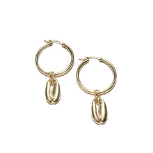 Load image into Gallery viewer, gold cowrie medium hoops