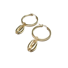 Load image into Gallery viewer, gold cowrie medium hoops