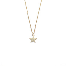 Load image into Gallery viewer, small star necklace