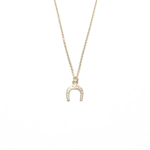 horseshoe necklace