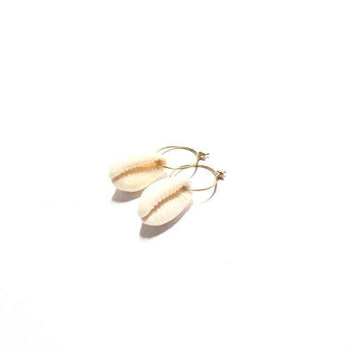 cowrie shell small hoop earrings
